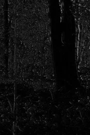 Phosphenes II