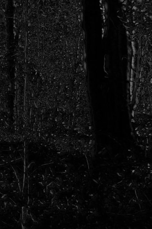 Phosphenes II