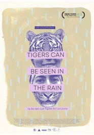 Tigers Can Be Seen In The Rain