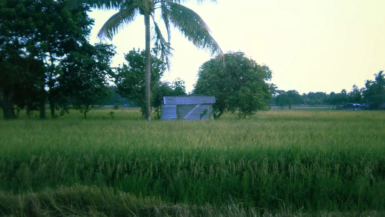 Irik ng Lunggati