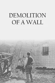 Demolition of a Wall
