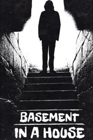 Basement in a House