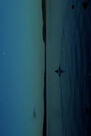 THE WATERS
