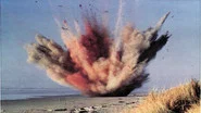 The Exploding Whale of Florence, Oregon
