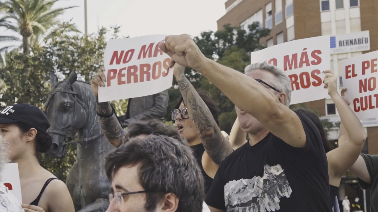 Perromaquia