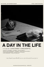 A DAY IN THE LIFE