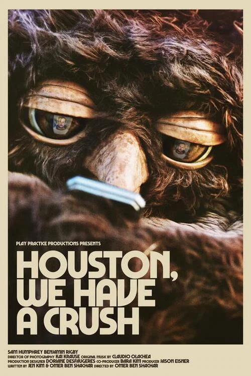 Houston, We Have a Crush