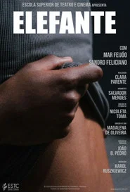 Elefante