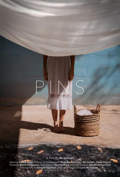 Pin