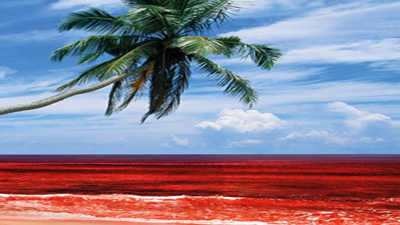 Sri Lanka's Killing Fields