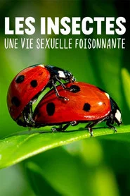 Les insectes, une vie sexuelle foisonnante