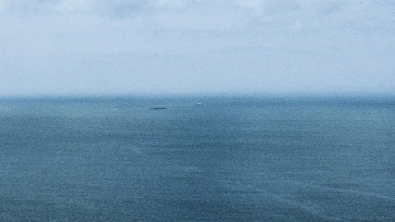 The Water Is Dead